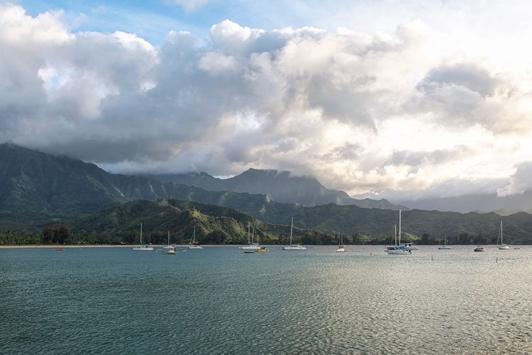 Picture of ANCHORED AT HANALEI