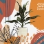 Picture of BOHO HOUSE PLANT 327
