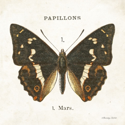 Picture of BUTTERFLY I
