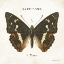 Picture of BUTTERFLY I