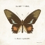 Picture of BUTTERFLY III