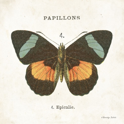 Picture of BUTTERFLY IV