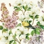 Picture of DOGWOOD AND LILAC II