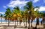 Picture of PALMS ON THE BEACH I