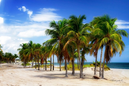 Picture of PALMS ON THE BEACH II