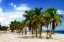 Picture of PALMS ON THE BEACH II