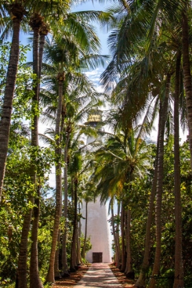 Picture of CAPE FLORIDA LIGHT II