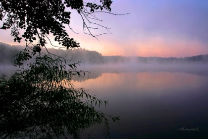 Picture of SHELLEY LAKE FOG