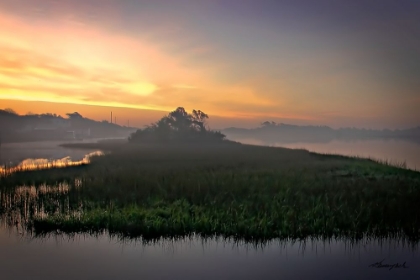 Picture of CARROT ISLAND