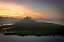 Picture of CARROT ISLAND