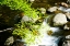 Picture of CRABTREE CREEK