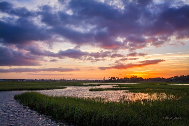 Picture of SUNSET IN THE MARSH