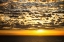 Picture of GOLDEN SUNRISE