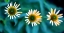 Picture of DAISY TRIO