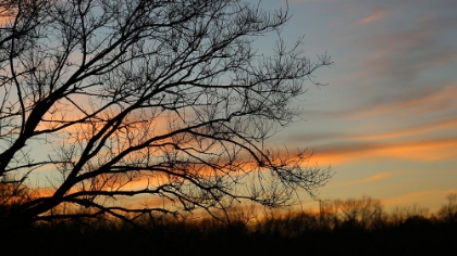 Picture of DUSK SILHOUETTE I