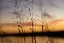 Picture of DUSK SILHOUETTE II