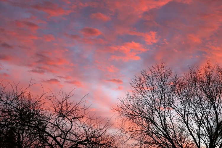 Picture of DUSK SILHOUETTE III