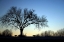 Picture of LONGVIEW OCTOBER SUNSET