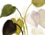Picture of PHILODENDRON IN ROSY GREENS NO. 1