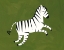 Picture of ZEBRA