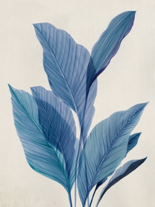 Picture of BLUE PALM LEAVES I 