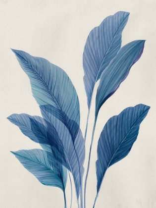Picture of BLUE PALM LEAVES II
