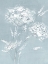 Picture of WILD BLUE FLOWERS 