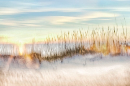 Picture of SUNSET BEACH WALK 