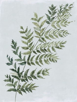 Picture of GREEN FERN I 