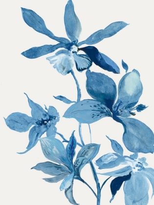 Picture of BLUE ORCHID I 