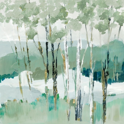 Picture of QUIET BIRCH FOREST I 