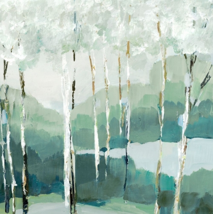 Picture of QUIET BIRCH FOREST II 