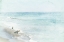 Picture of BLUE SURFING 