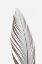 Picture of STUDIO III - FEATHER 003 