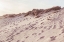 Picture of STUDIO III - BEACH 008