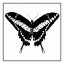 Picture of CUSTOM CLASSICAL BUTTERFLY IV