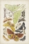 Picture of ANTIQUE MOTHS I