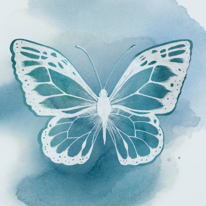 Picture of BERYL BUTTERFLY IV
