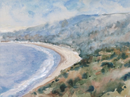 Picture of COASTAL MIST I