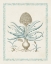 Picture of WILLOW BLUE BESLER IV