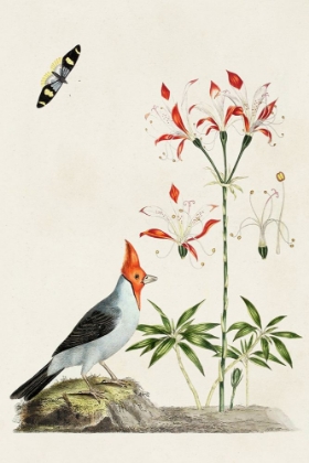 Picture of BIRD IN HABITAT I