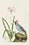 Picture of BIRD IN HABITAT II