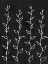 Picture of IVORY VINES I