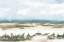 Picture of COASTAL WETLANDS WATERCOLOR II
