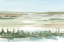 Picture of PEACEFUL LOWLAND II