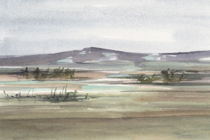 Picture of MUTED MARSH I