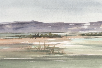 Picture of MUTED MARSH II