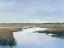Picture of COASTAL PLAINS I