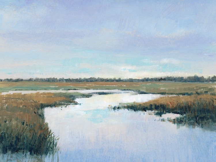 Picture of COASTAL PLAINS I