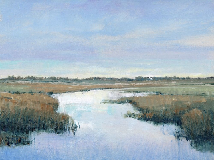 Picture of COASTAL PLAINS II